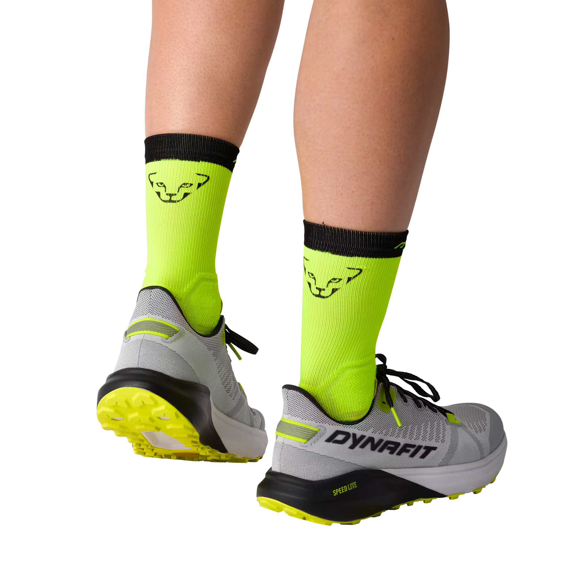 Dynafit Men's Trail Running Shoes in Nimbus/Black Out