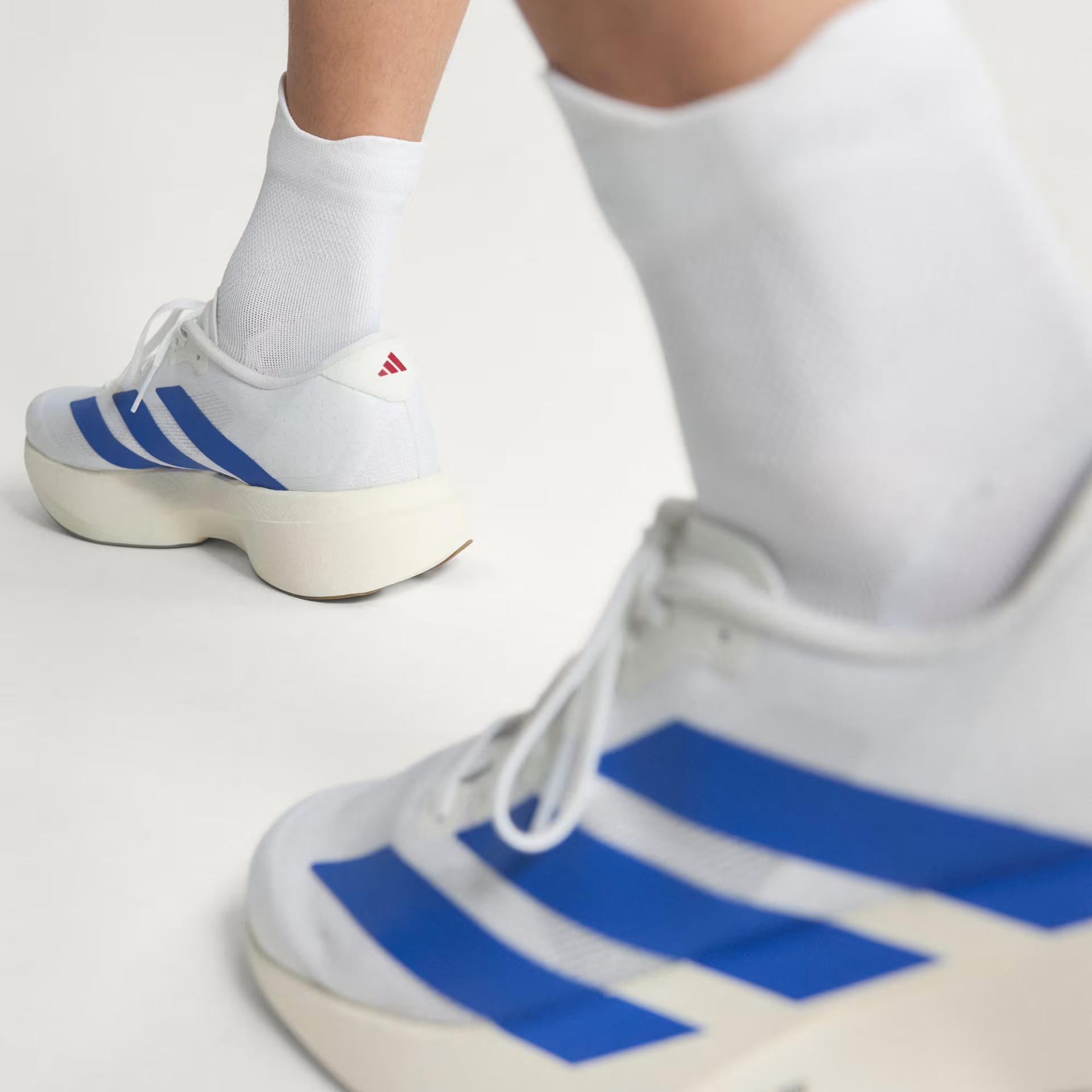 Adidas Men's Adizero Evo SL Shoes in Cloud White/Royal Blue/Pure Ruby