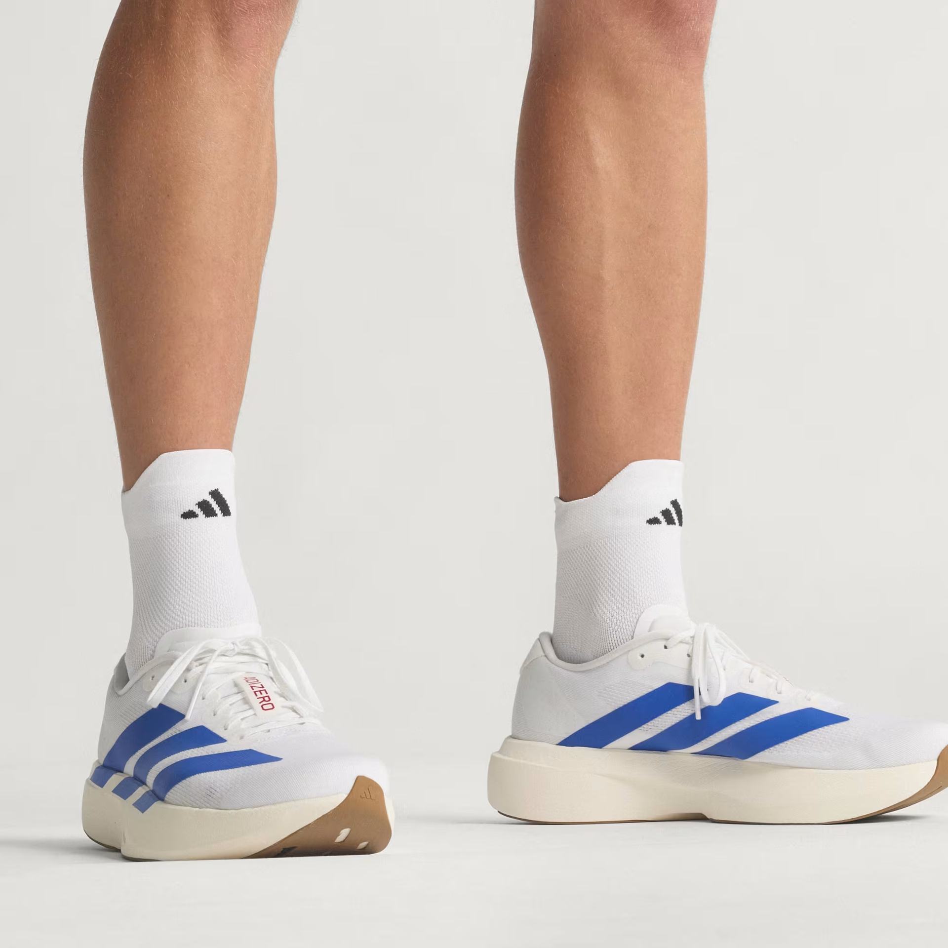 Adidas Men's Adizero Evo SL Shoes in Cloud White/Royal Blue/Pure Ruby